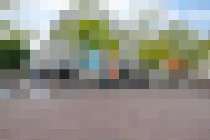 Hofdael 212 Geldrop thumbnail 55