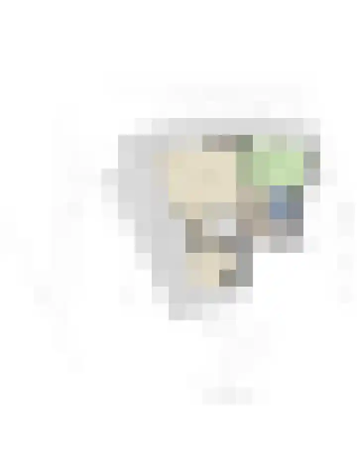 Hofdael 212 Geldrop thumbnail 60