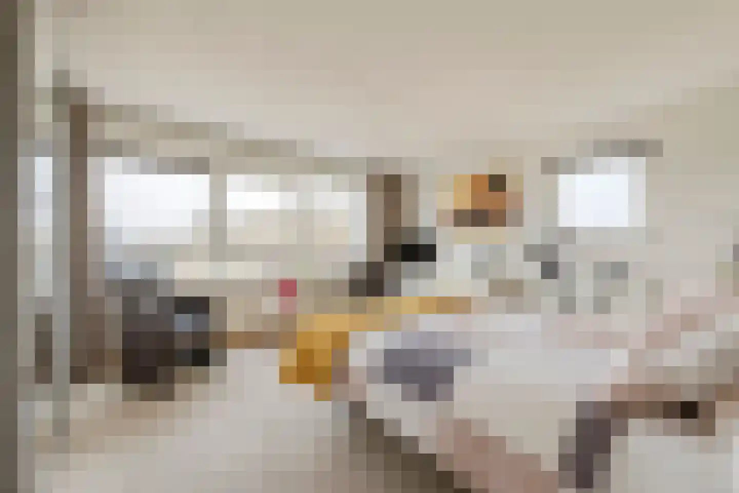 Hofdael 27 Geldrop thumbnail 27