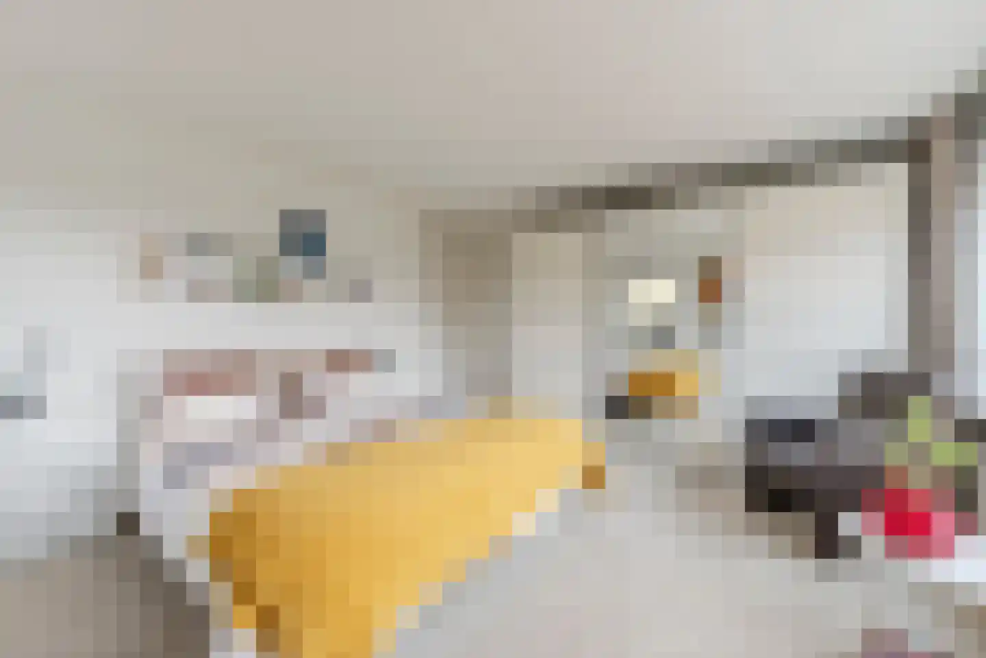 Hofdael 27 Geldrop thumbnail 28