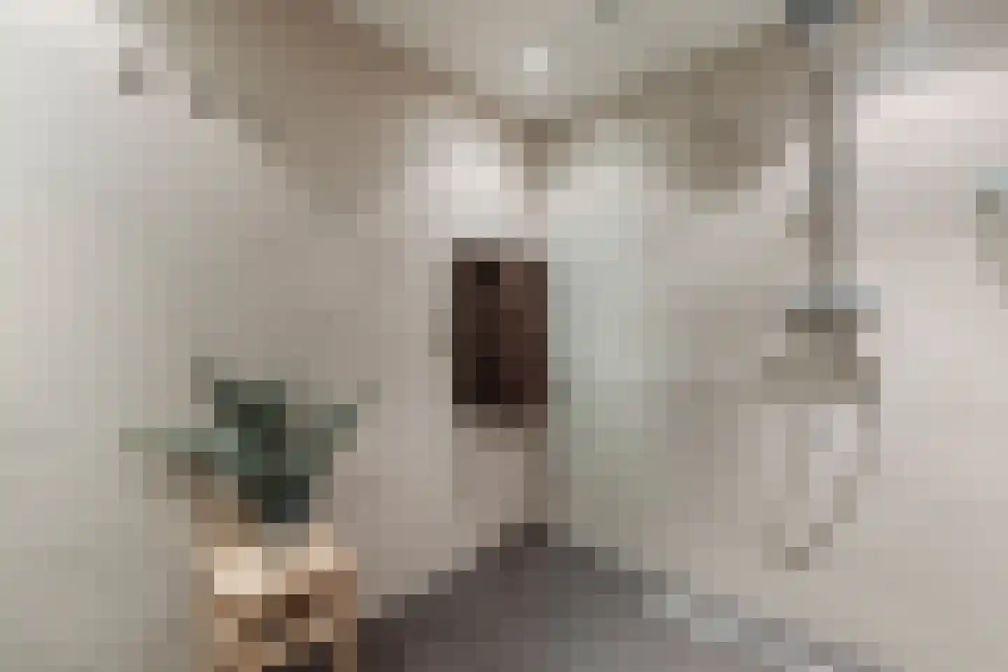 Hofdael 27 Geldrop thumbnail 29