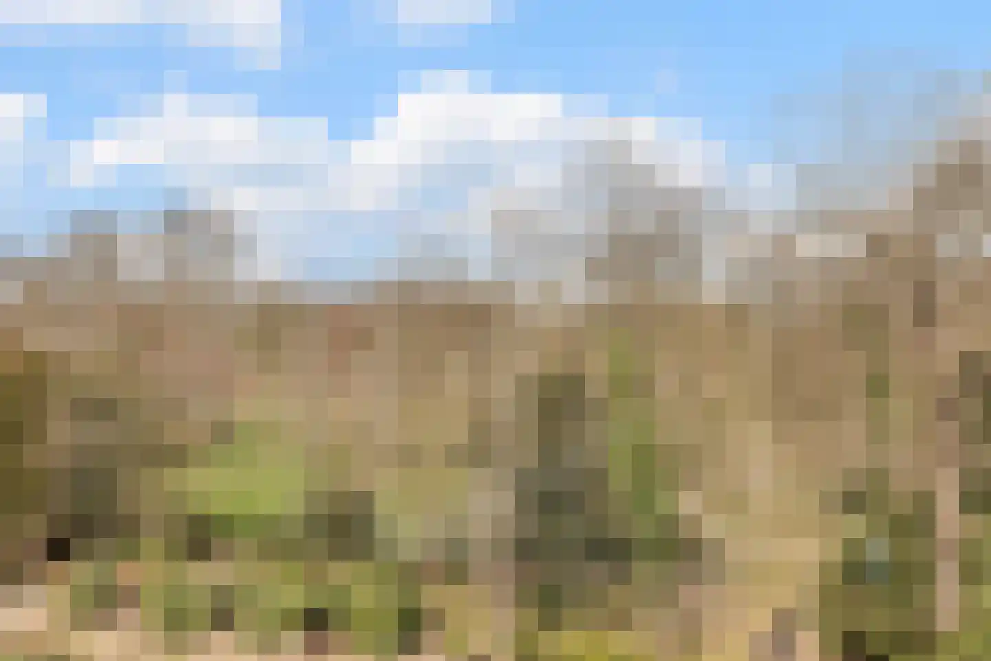 Hofdael 27 Geldrop thumbnail 6