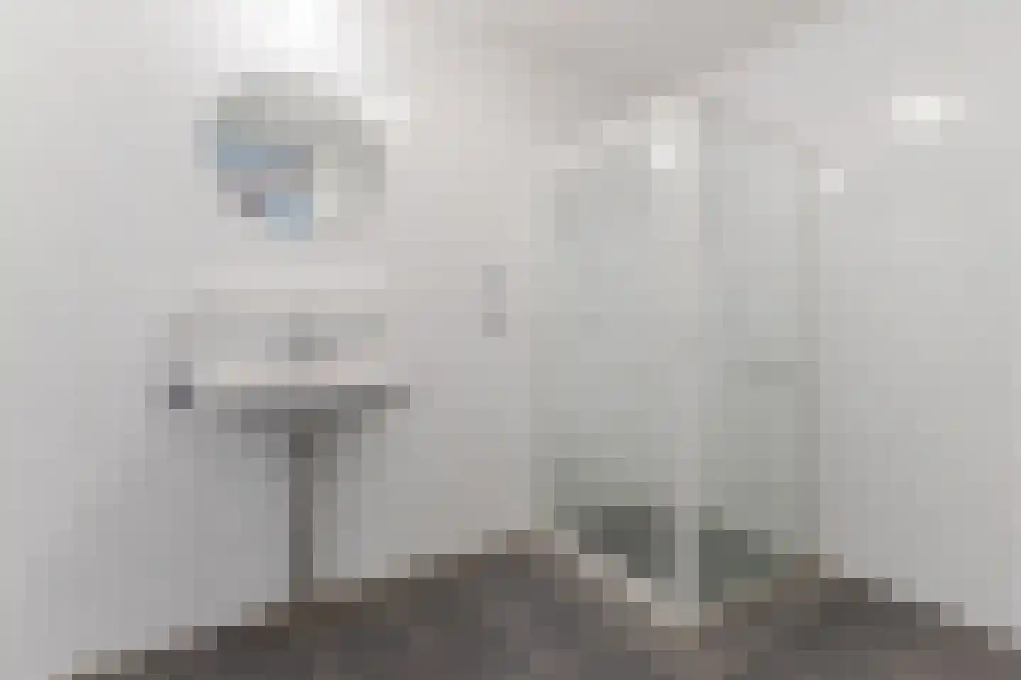 Hofdael 40 Geldrop thumbnail 15