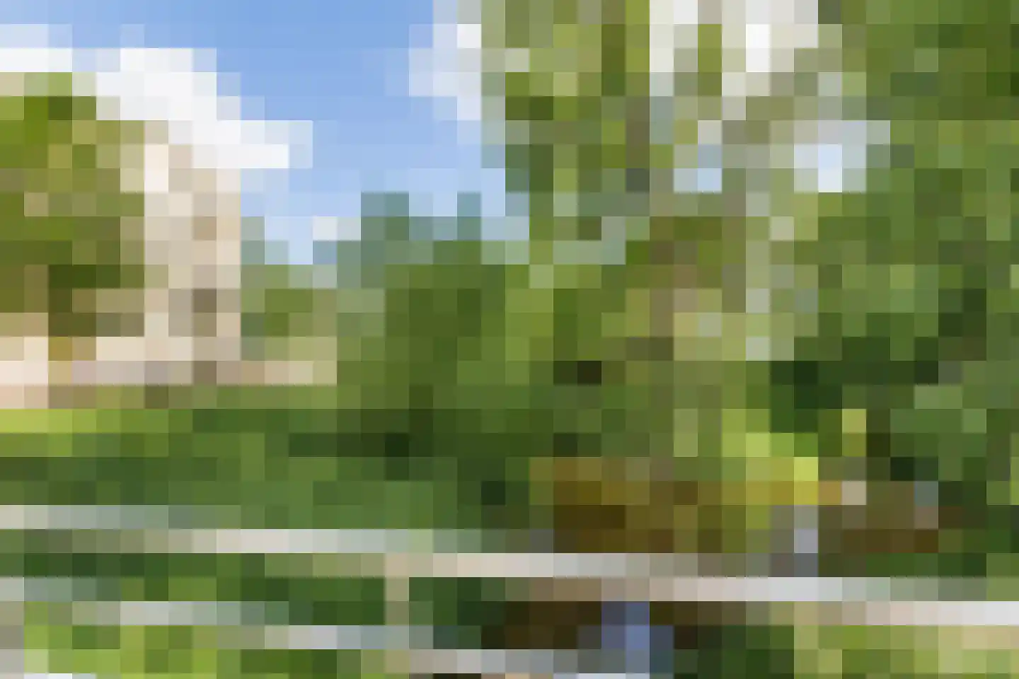 Hofdael 40 Geldrop thumbnail 21