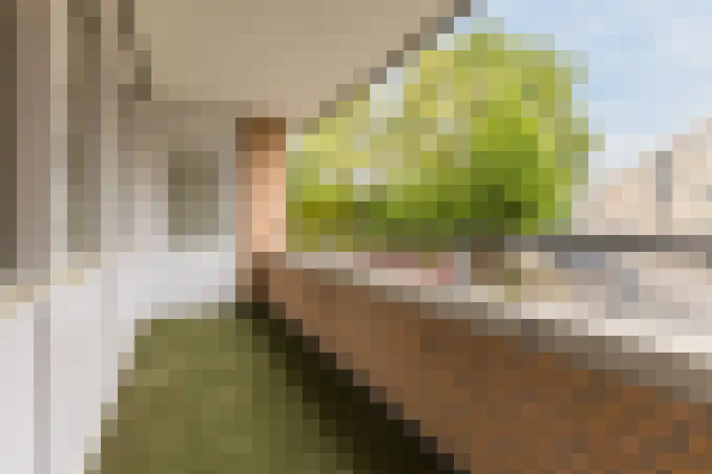 Hofdael 40 Geldrop thumbnail 8