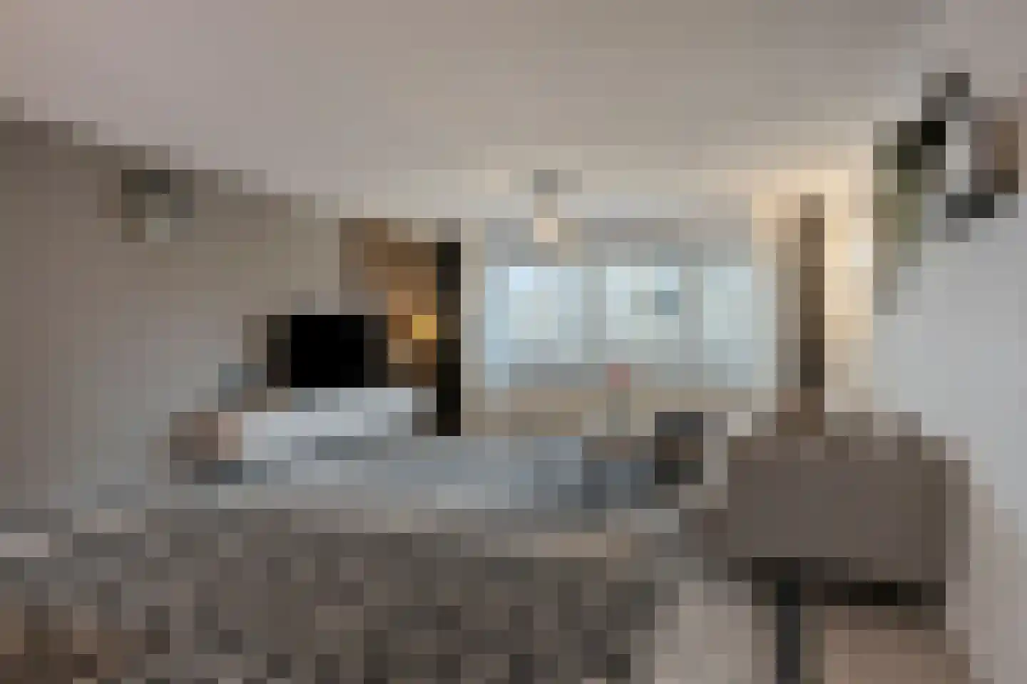 Hofdael 42 Geldrop thumbnail 17