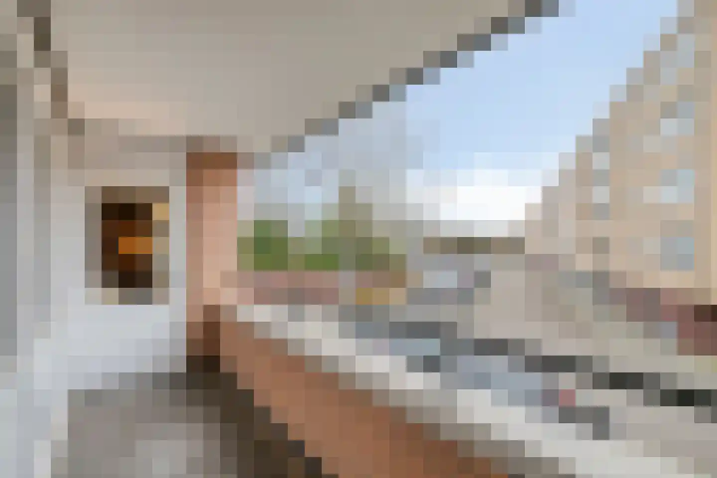 Hofdael 42 Geldrop thumbnail 26