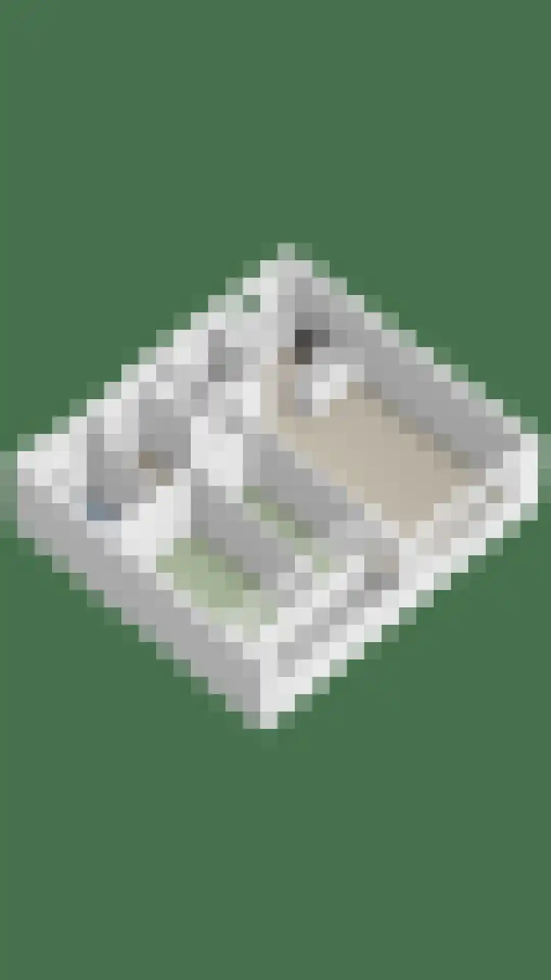 Hofdael 42 Geldrop thumbnail 37