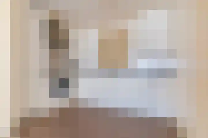 Hofdael 44 Geldrop thumbnail 12
