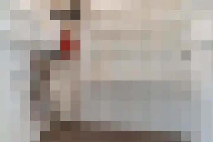 Hofdael 44 Geldrop thumbnail 13
