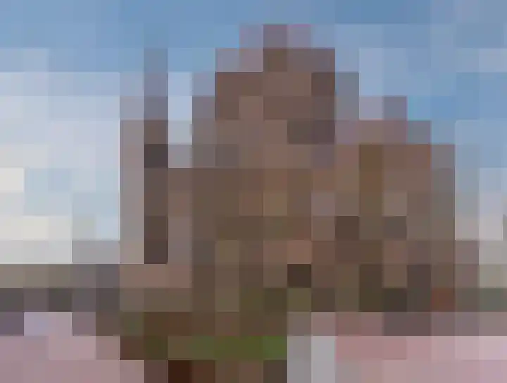 Hofdael 44 Geldrop thumbnail 23