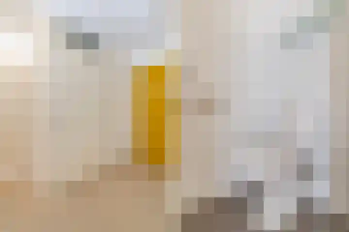 Hofdael 44 Geldrop thumbnail 5
