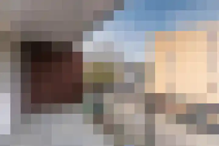 Hofdael 44 Geldrop thumbnail 8