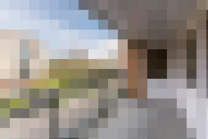 Hofdael 44 Geldrop thumbnail 9