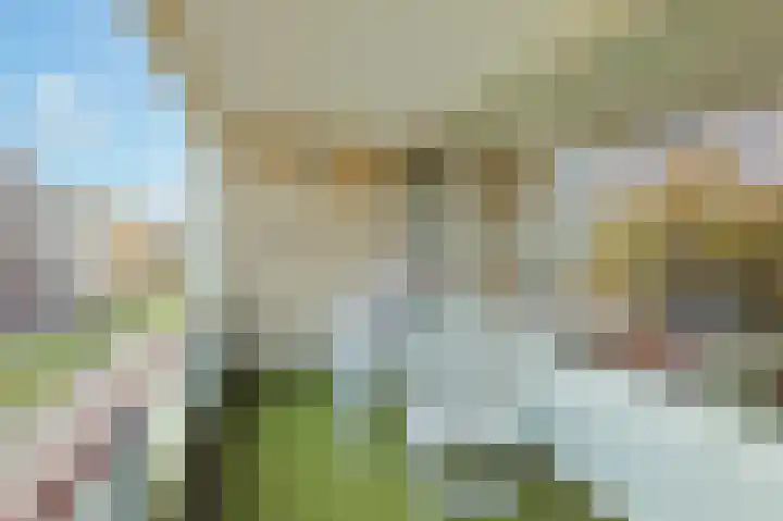 Hofdael 51 Geldrop thumbnail 19