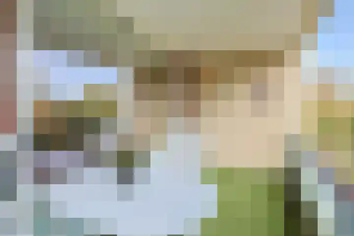 Hofdael 51 Geldrop thumbnail 21
