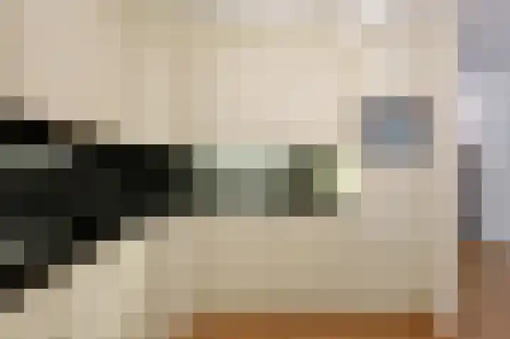 Hofdael 51 Geldrop thumbnail 23