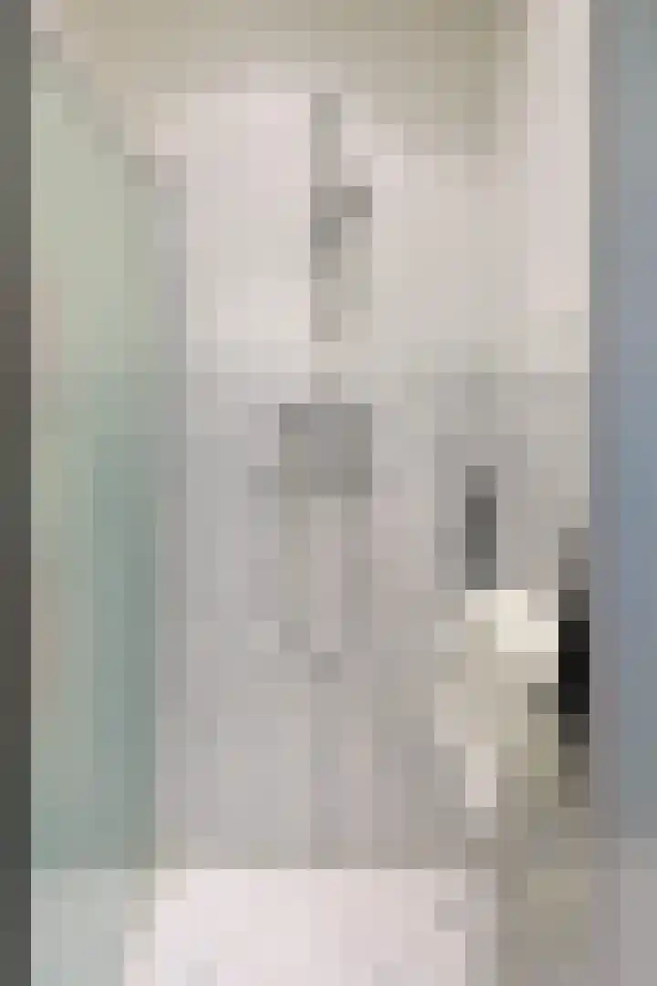 Hofdael 51 Geldrop thumbnail 38