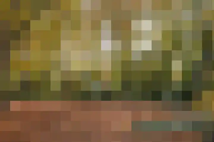 Hofdael 51 Geldrop thumbnail 43