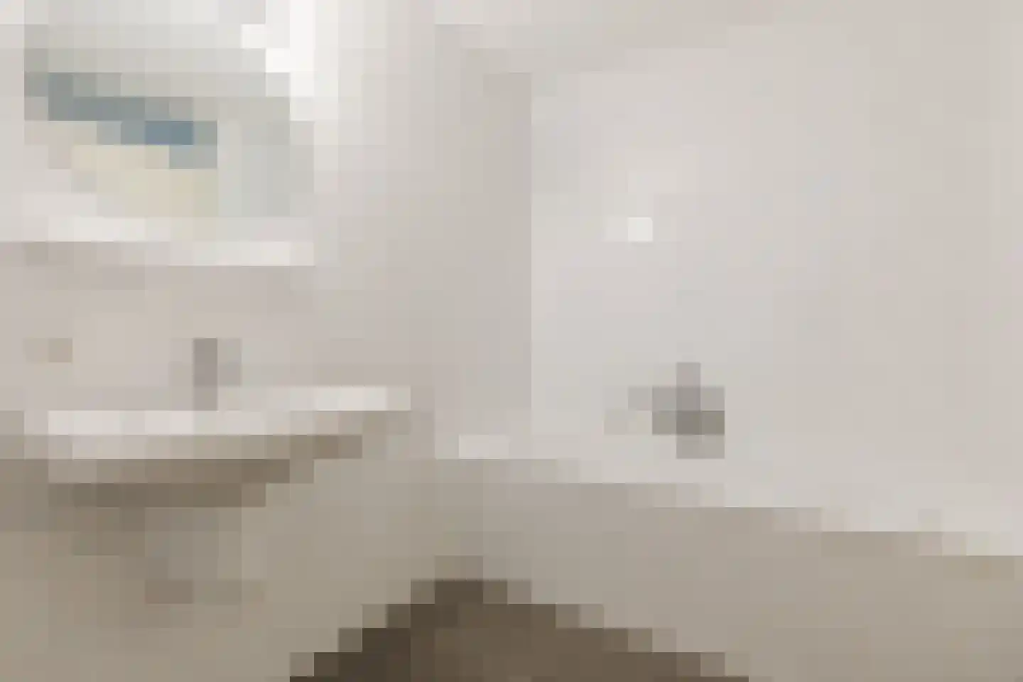 Hofdael 81 Geldrop thumbnail 21