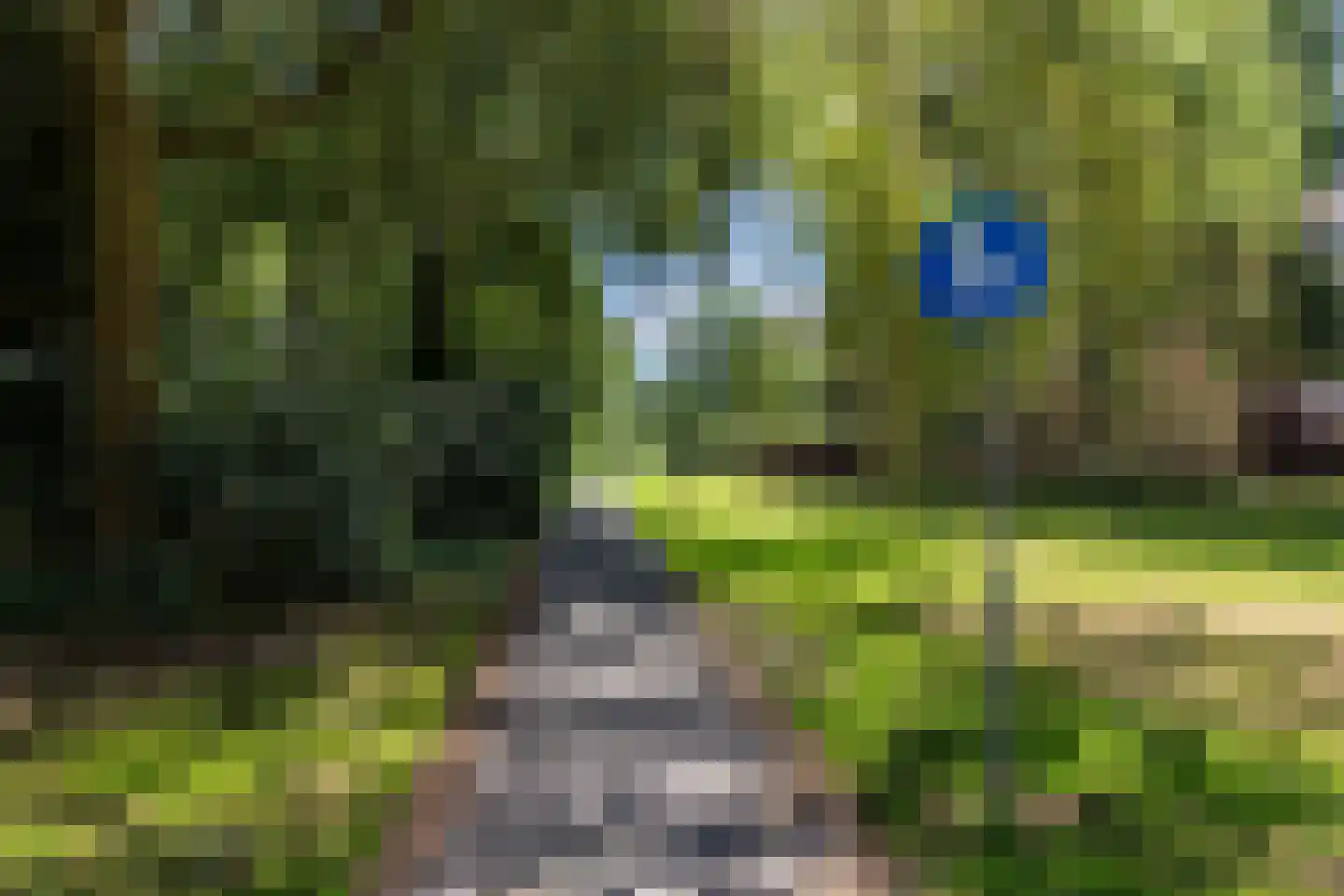 Hofdael 81 Geldrop thumbnail 24