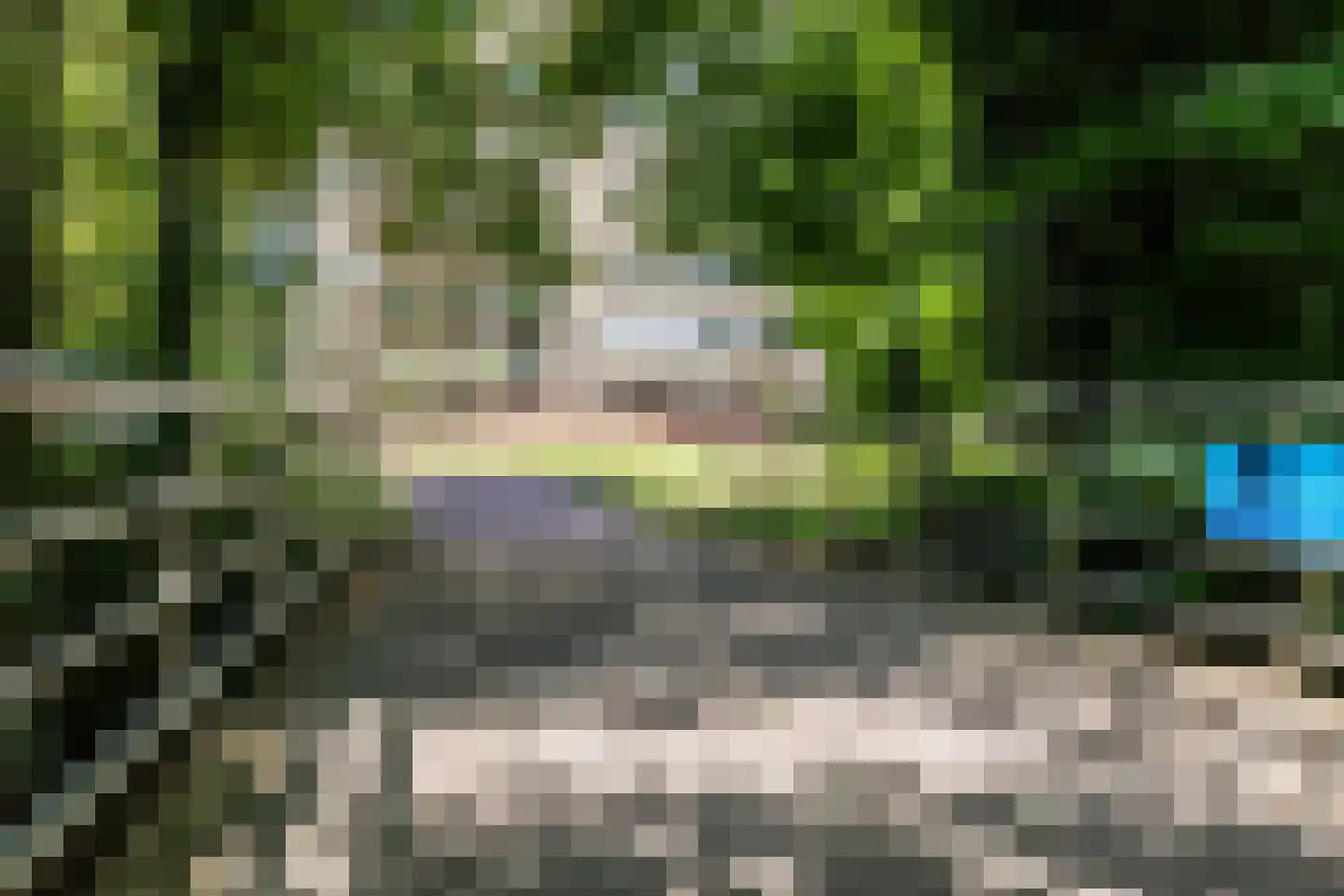 Hofdael 81 Geldrop thumbnail 25