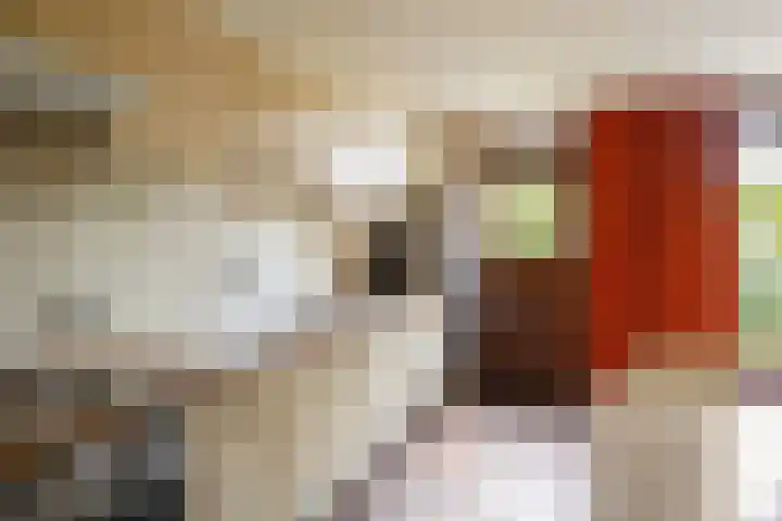 Hofdijck 29 Oegstgeest thumbnail 13