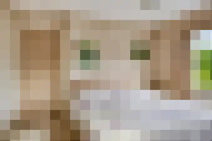 Hofdijck 29 Oegstgeest thumbnail 16