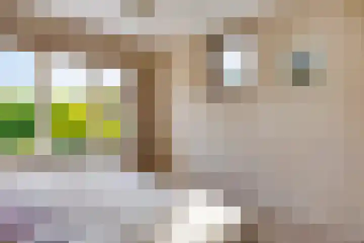 Hofdijck 29 Oegstgeest thumbnail 17