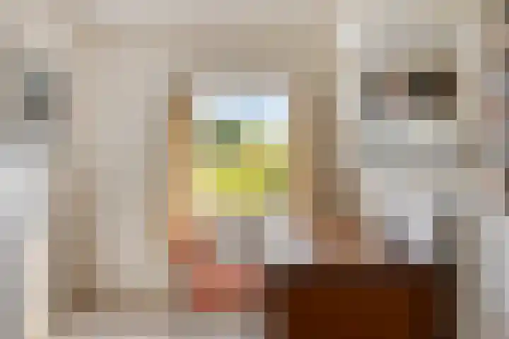 Hofdijck 29 Oegstgeest thumbnail 18