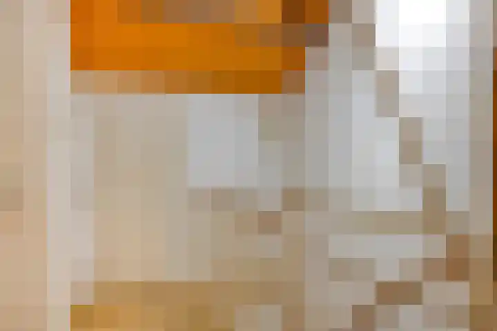 Hofdijck 29 Oegstgeest thumbnail 21