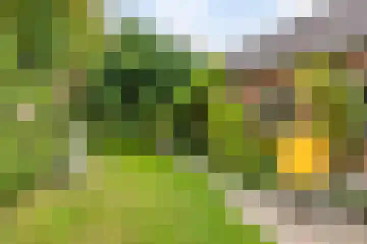 Hofdijck 29 Oegstgeest thumbnail 26