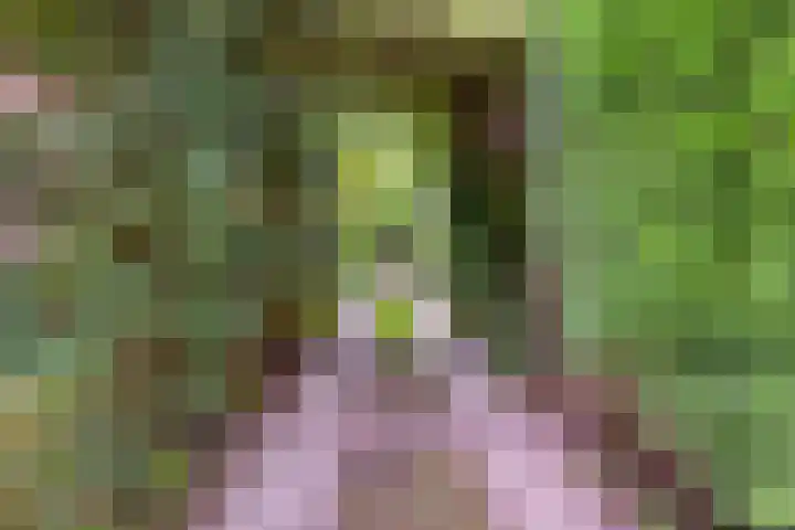 Hofdijck 29 Oegstgeest thumbnail 27