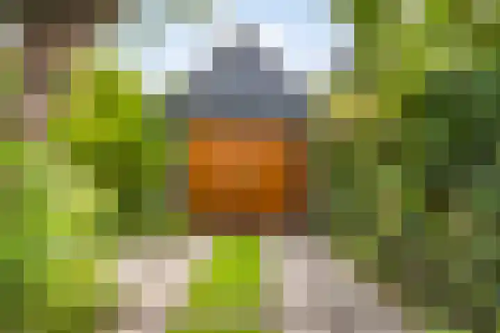 Hofdijck 29 Oegstgeest thumbnail 28