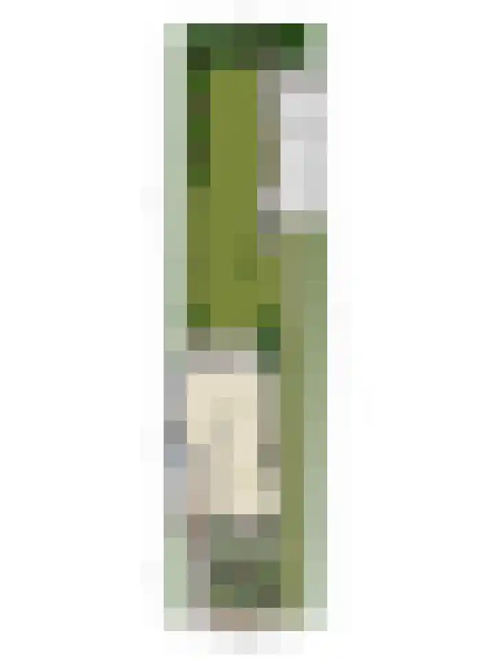Hofdijck 29 Oegstgeest thumbnail 32