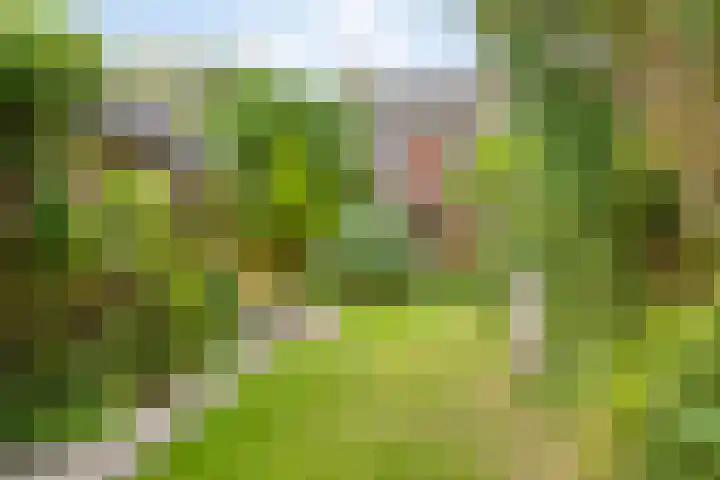 Hofdijck 29 Oegstgeest thumbnail 4