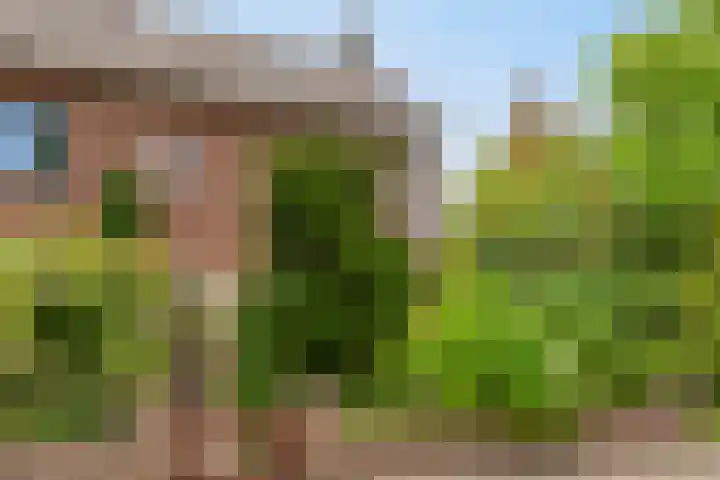 Hofdijck 29 Oegstgeest thumbnail 6