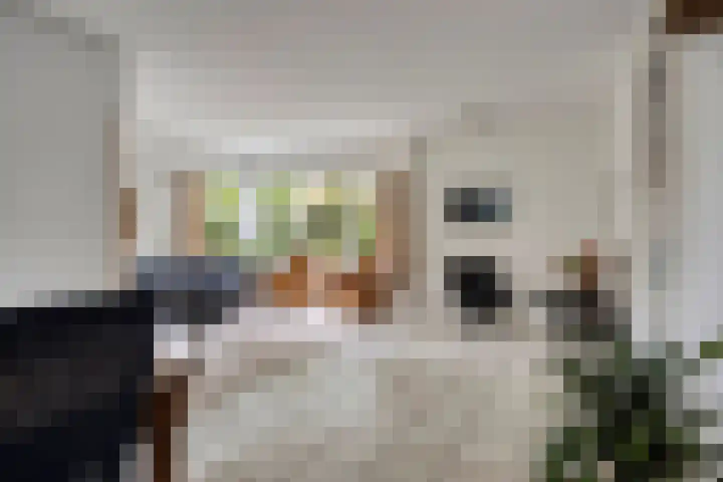 Hofdijck 40 Oegstgeest thumbnail 14