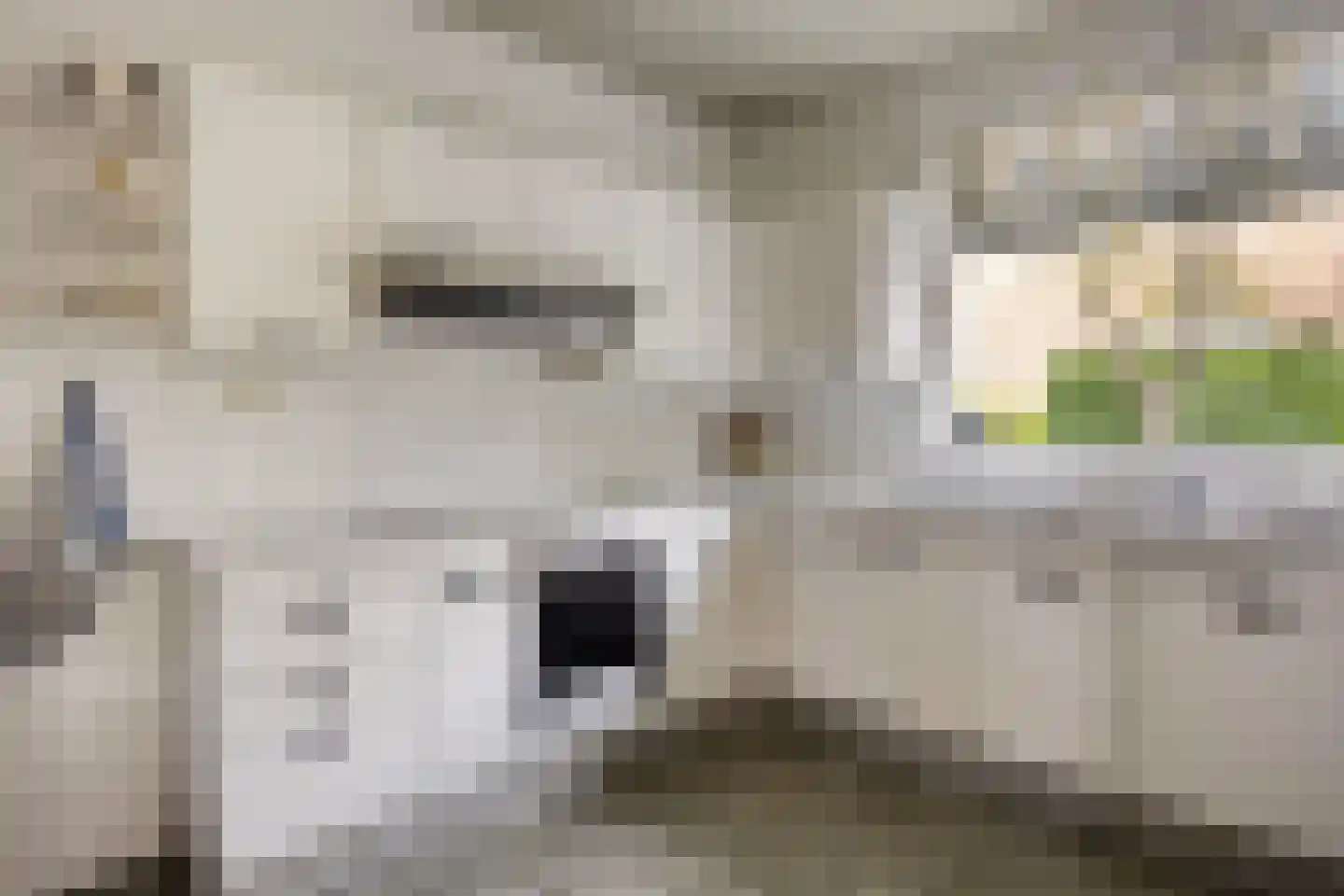 Hofdijck 40 Oegstgeest thumbnail 17