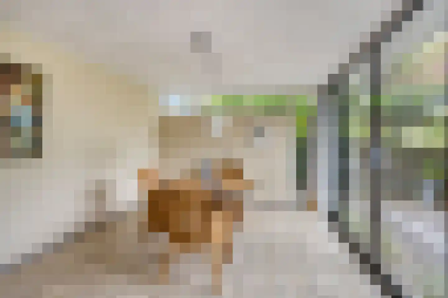 Hofdijck 40 Oegstgeest thumbnail 19