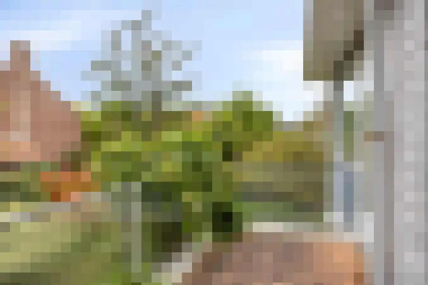 Hofdijck 40 Oegstgeest thumbnail 30