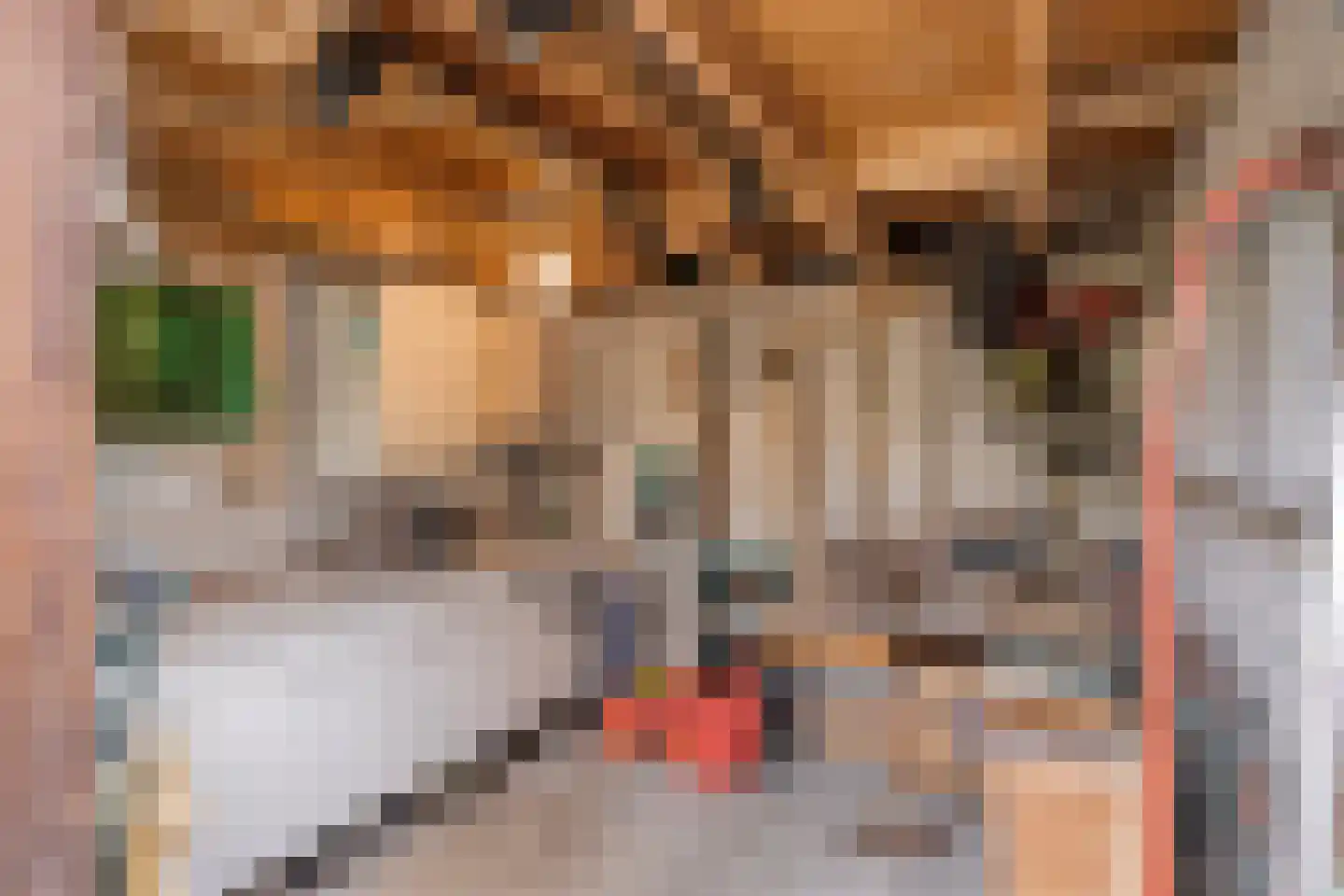 Hofdijck 40 Oegstgeest thumbnail 37