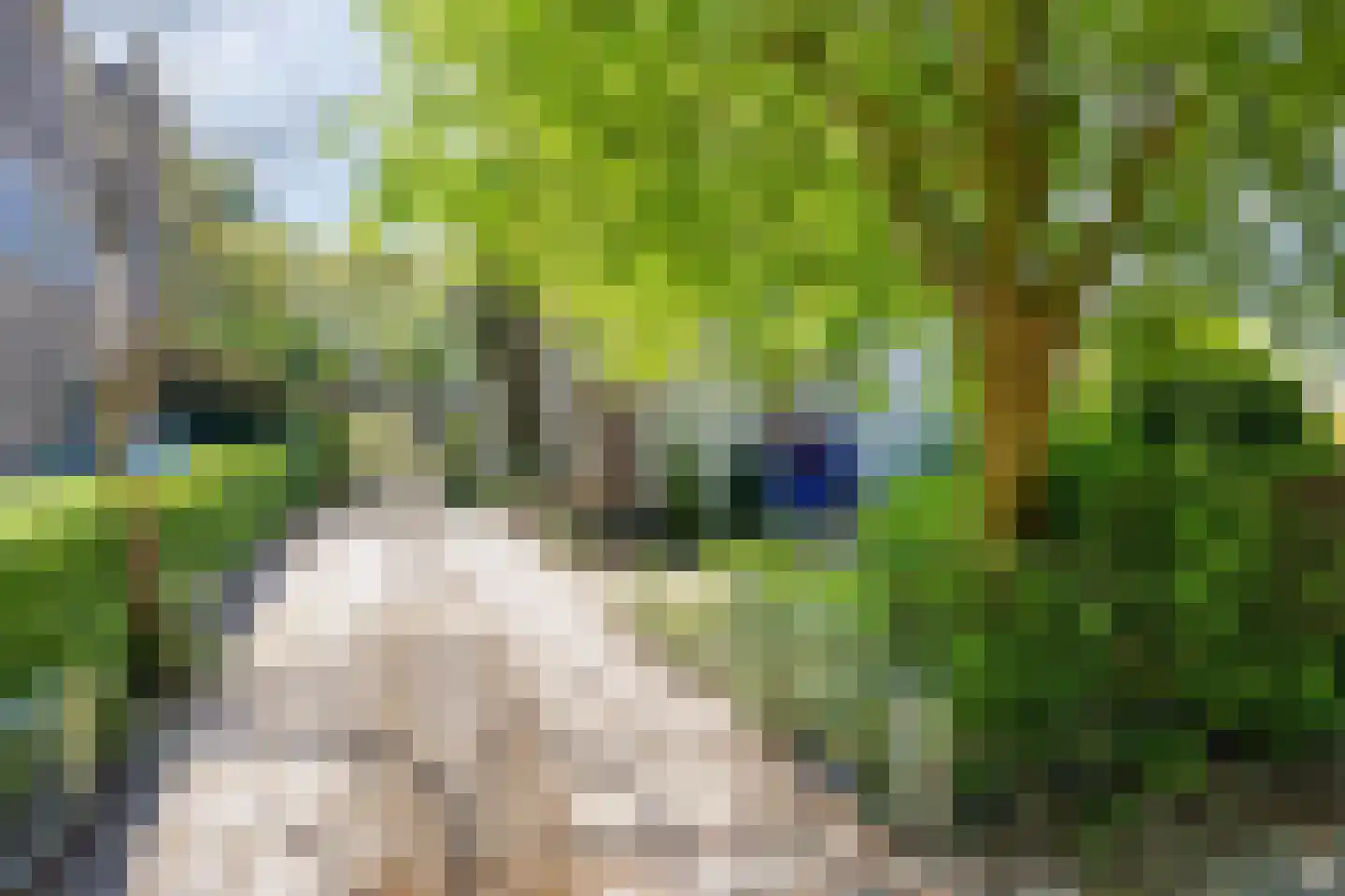 Hofdijck 40 Oegstgeest thumbnail 43