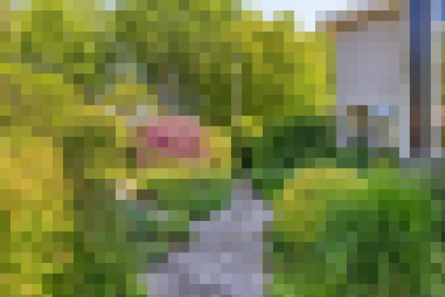 Hofdijck 40 Oegstgeest thumbnail 46