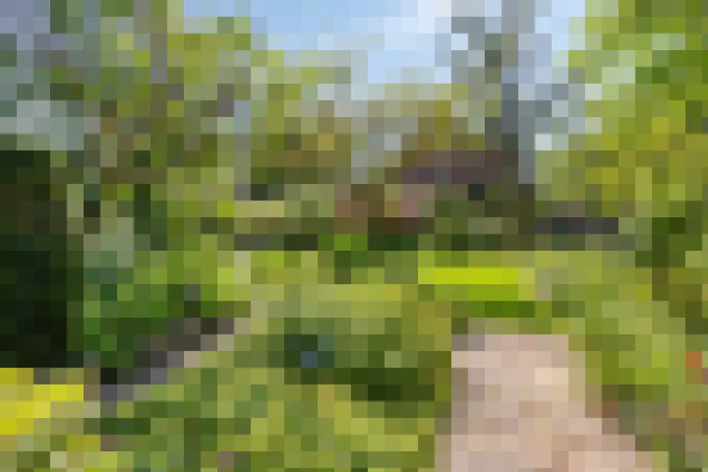 Hofdijck 40 Oegstgeest thumbnail 47