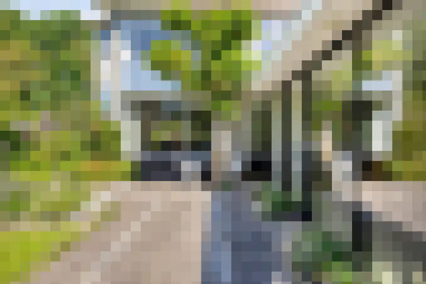 Hofdijck 40 Oegstgeest thumbnail 50