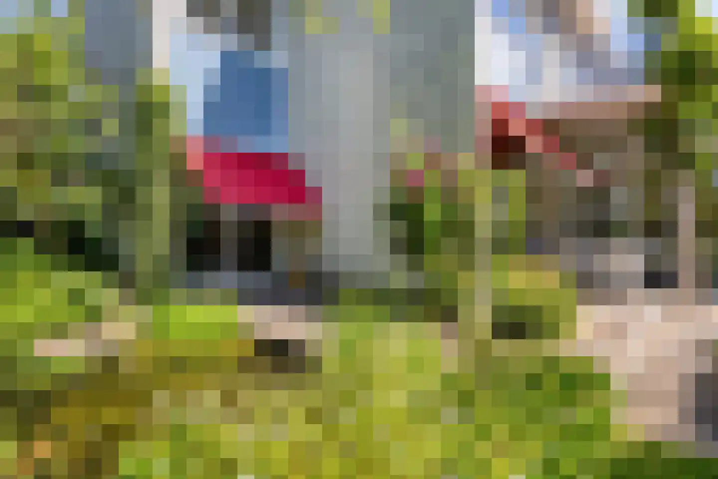 Hofdijck 40 Oegstgeest thumbnail 52