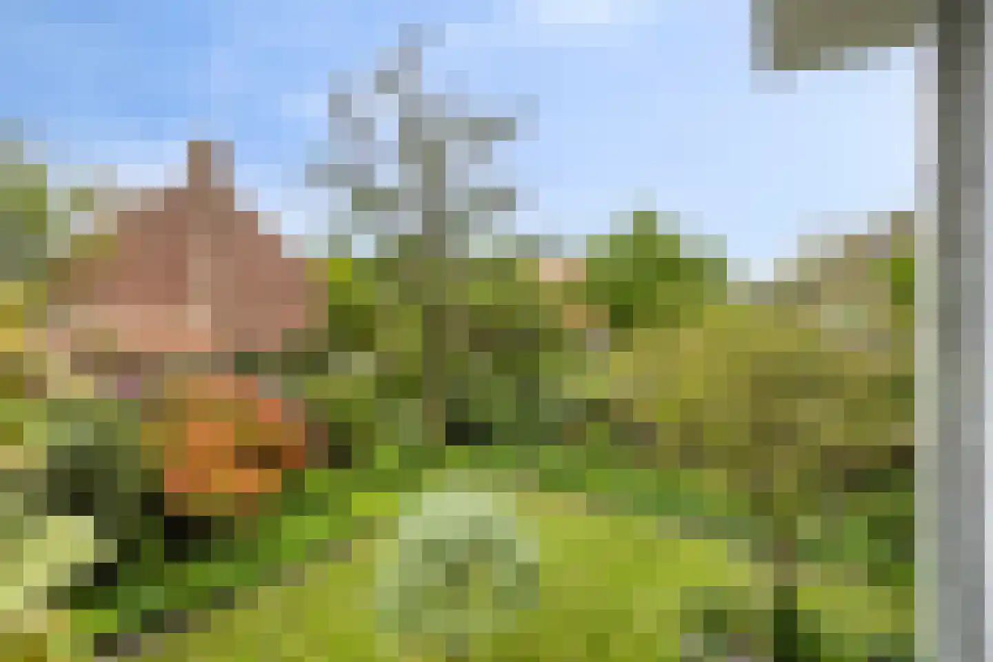 Hofdijck 40 Oegstgeest thumbnail 53