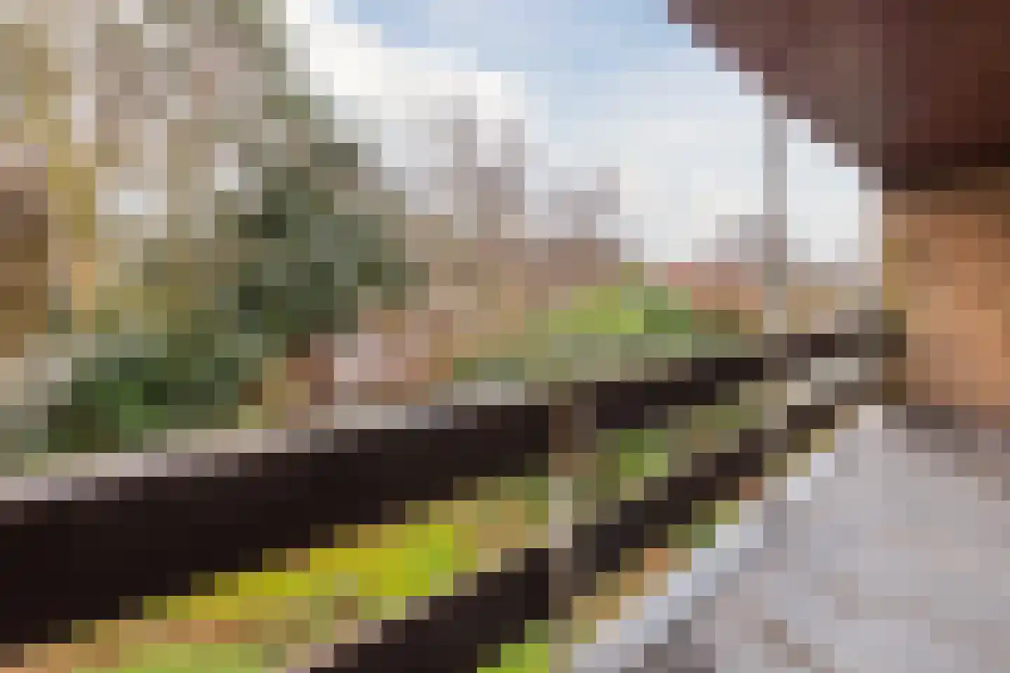 Hofdijck 48 Oegstgeest thumbnail 32