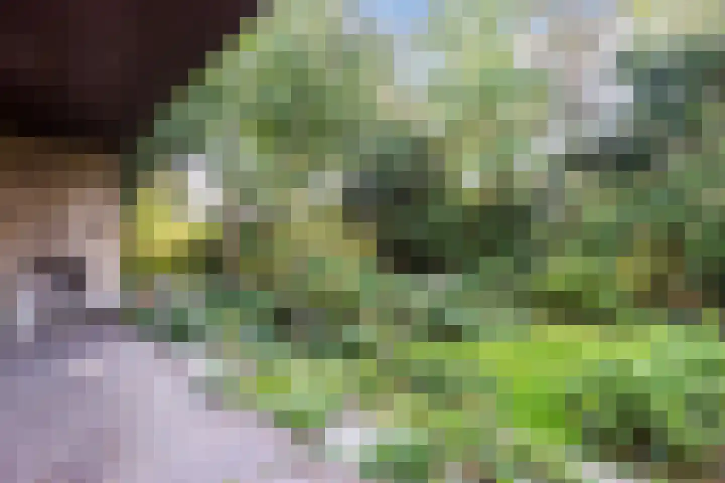 Hofdijck 48 Oegstgeest thumbnail 46